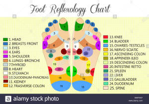 foot-reflexology-chart-WKPHA7